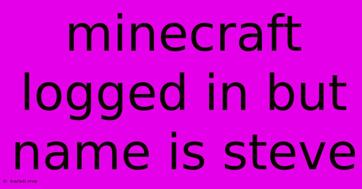 Minecraft Logged In But Name Is Steve