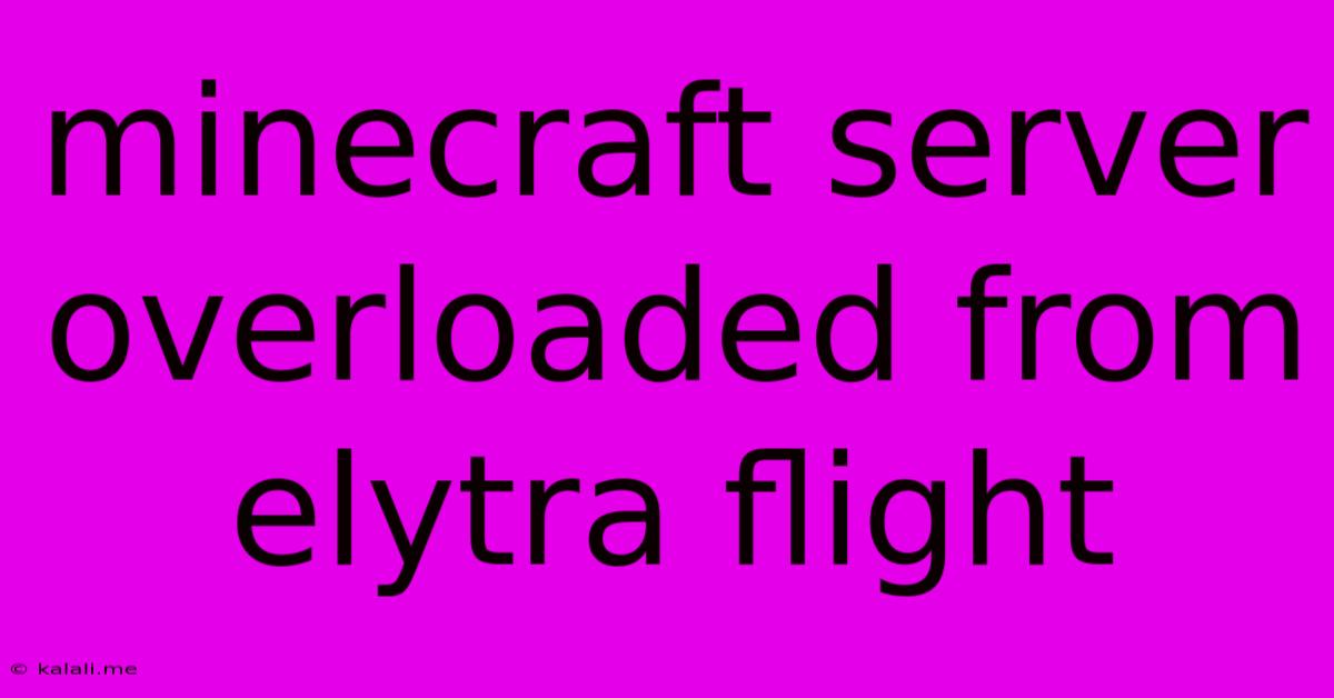 Minecraft Server Overloaded From Elytra Flight