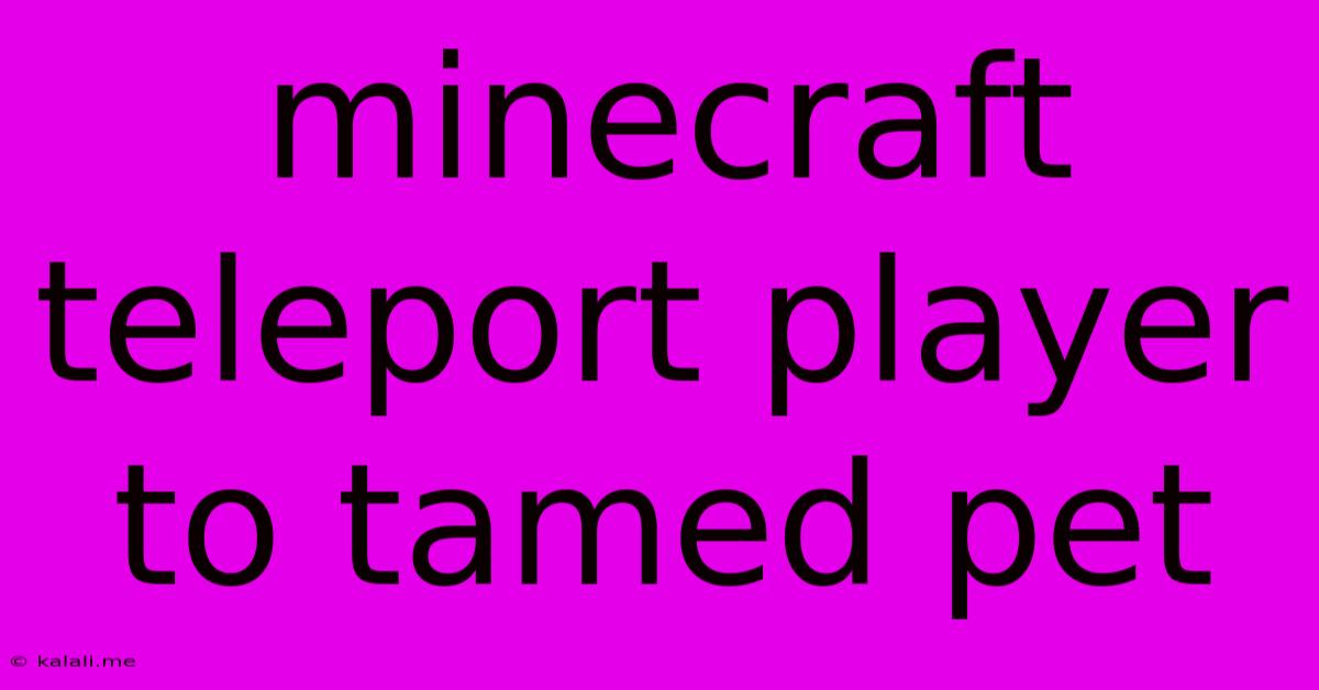Minecraft Teleport Player To Tamed Pet