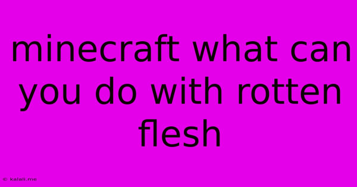 Minecraft What Can You Do With Rotten Flesh