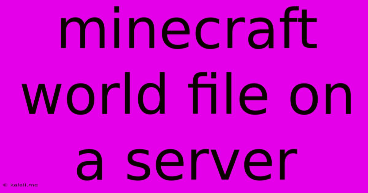Minecraft World File On A Server