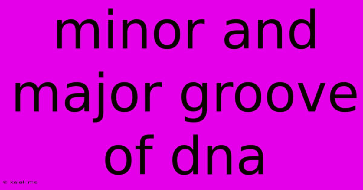 Minor And Major Groove Of Dna