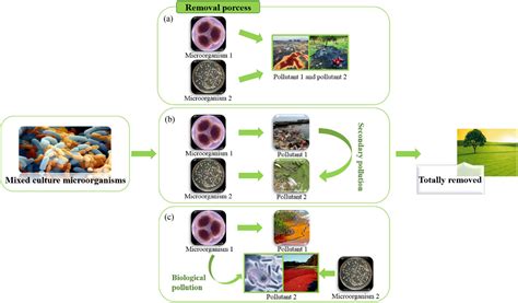 Mixed Cultures Are Also Referred To As Contaminated Cultures.