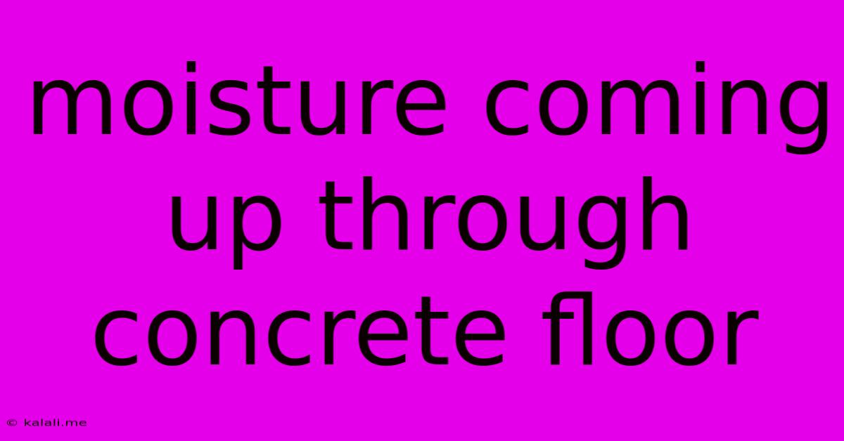 Moisture Coming Up Through Concrete Floor