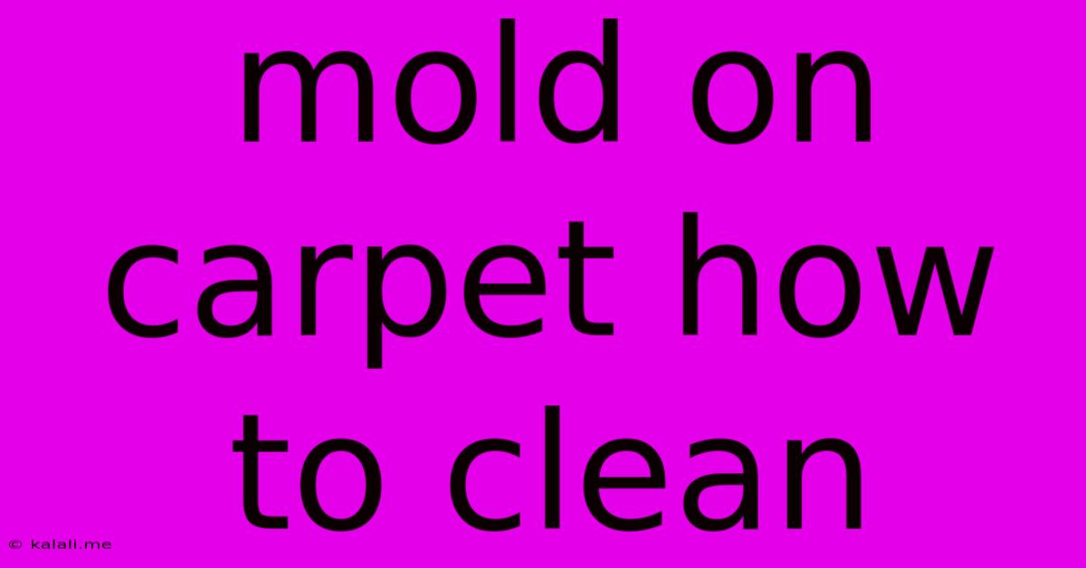 Mold On Carpet How To Clean