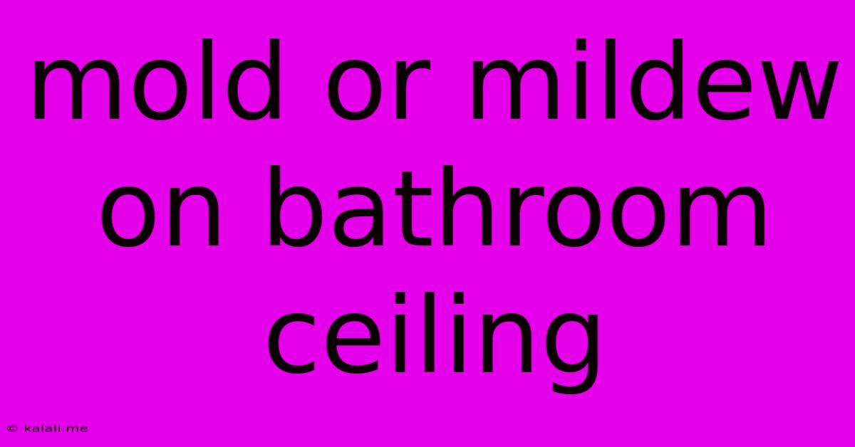 Mold Or Mildew On Bathroom Ceiling