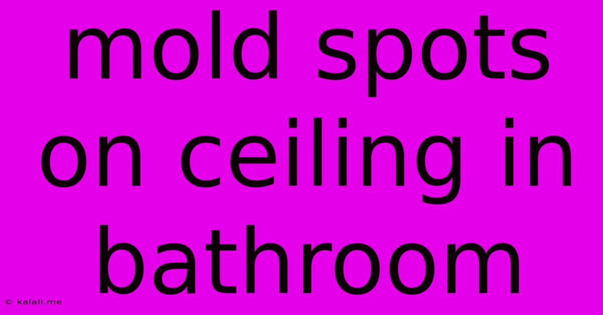 Mold Spots On Ceiling In Bathroom