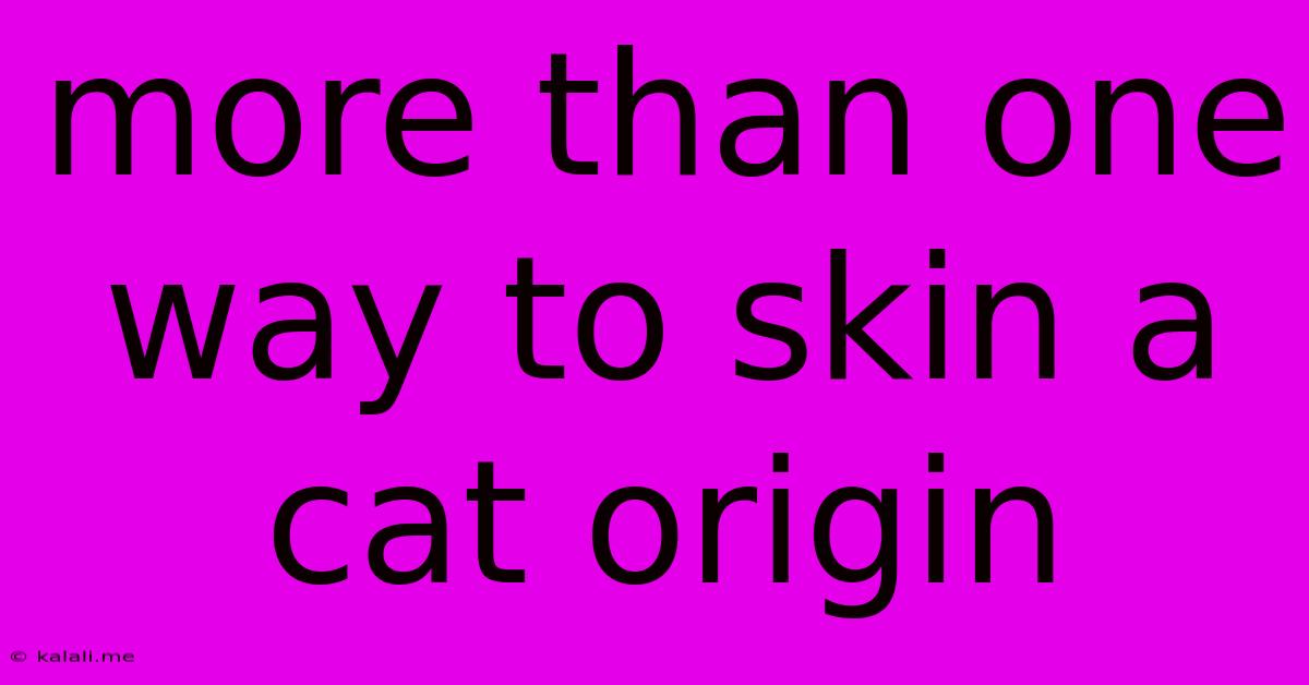 More Than One Way To Skin A Cat Origin
