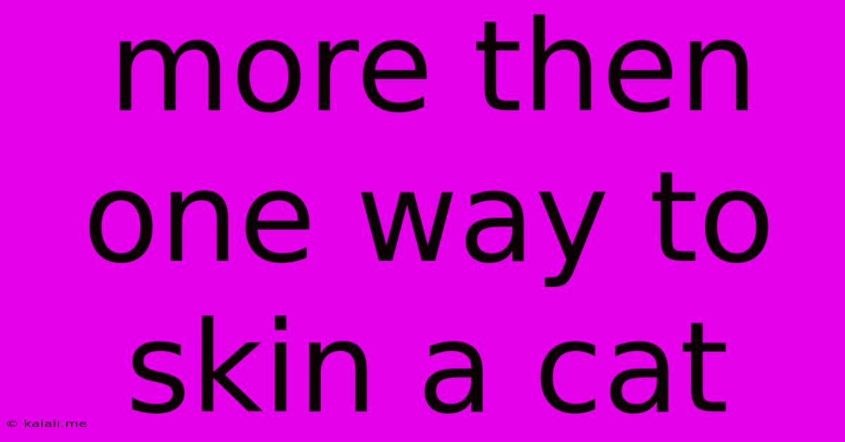 More Then One Way To Skin A Cat