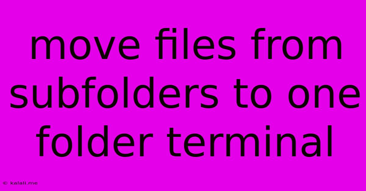 Move Files From Subfolders To One Folder Terminal