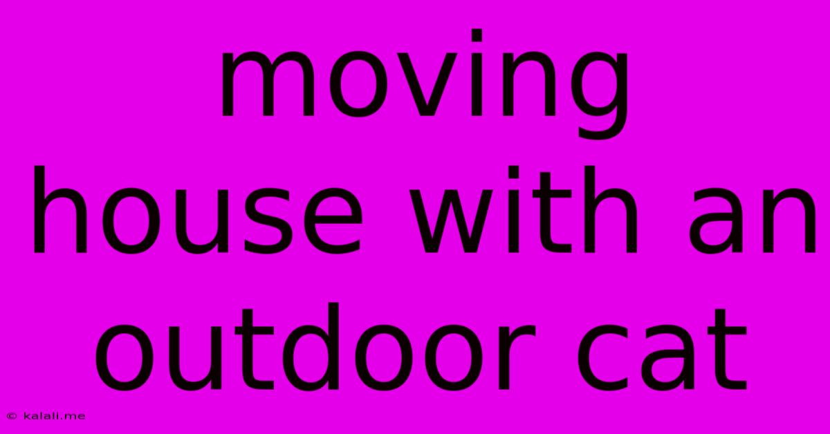 Moving House With An Outdoor Cat