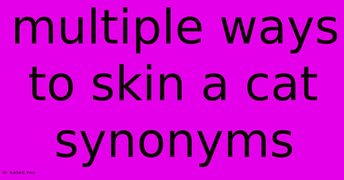 Multiple Ways To Skin A Cat Synonyms