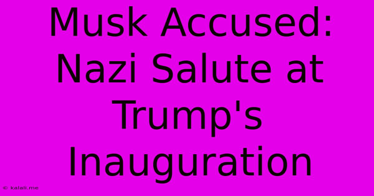 Musk Accused: Nazi Salute At Trump's Inauguration