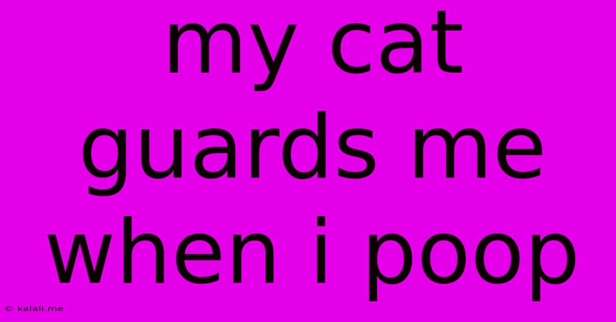 My Cat Guards Me When I Poop