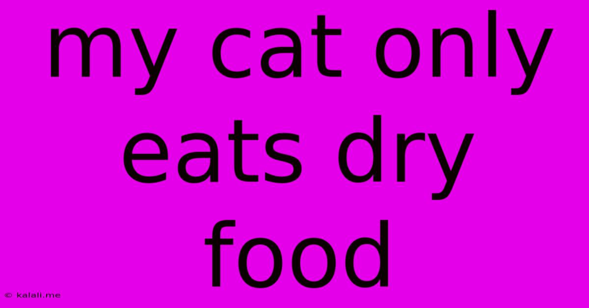 My Cat Only Eats Dry Food