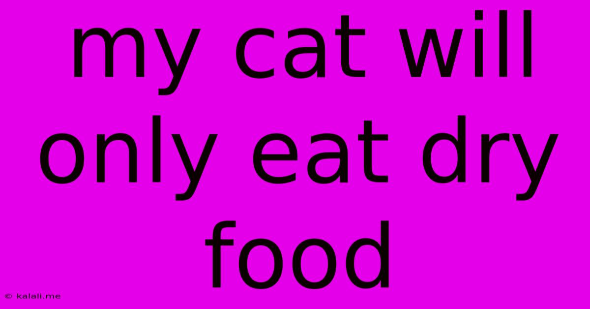 My Cat Will Only Eat Dry Food