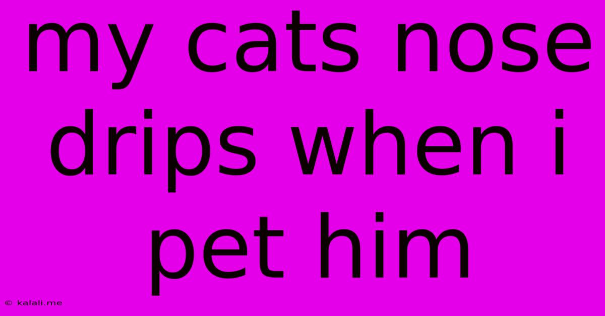 My Cats Nose Drips When I Pet Him