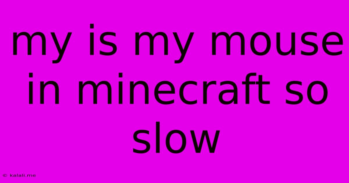 My Is My Mouse In Minecraft So Slow