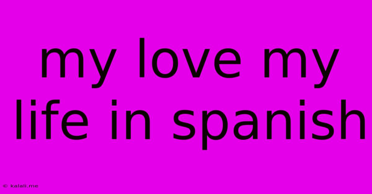 My Love My Life In Spanish