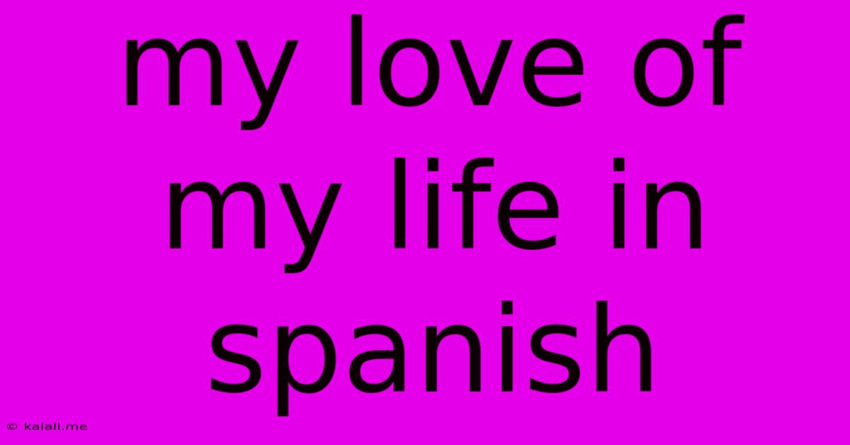 My Love Of My Life In Spanish