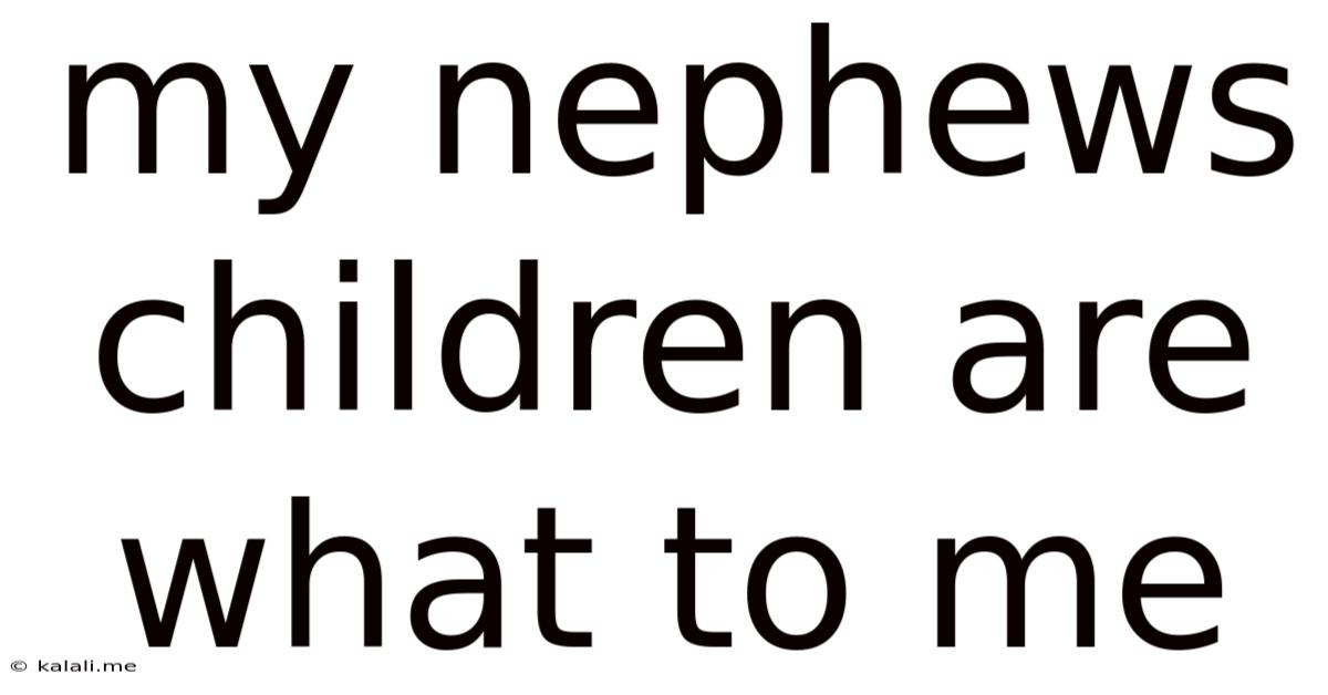 My Nephews Children Are What To Me