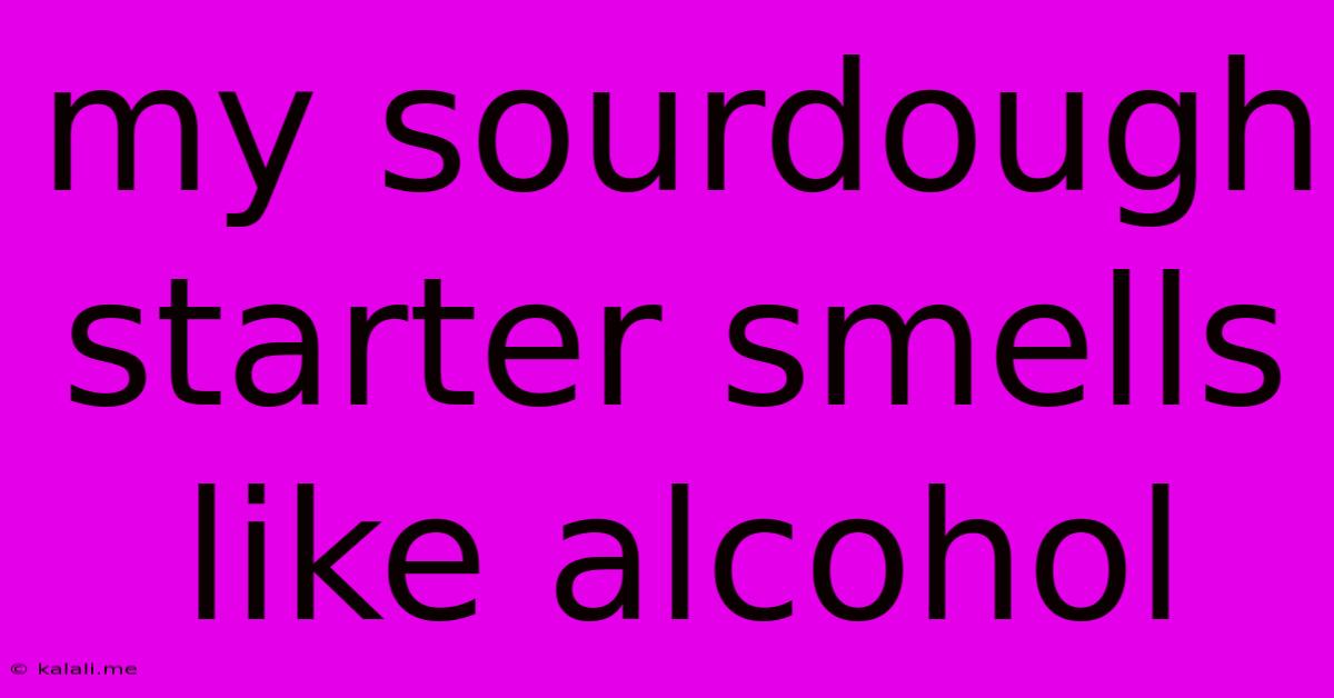 My Sourdough Starter Smells Like Alcohol
