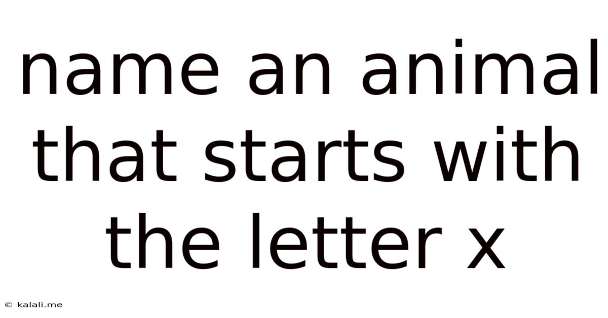 Name An Animal That Starts With The Letter X