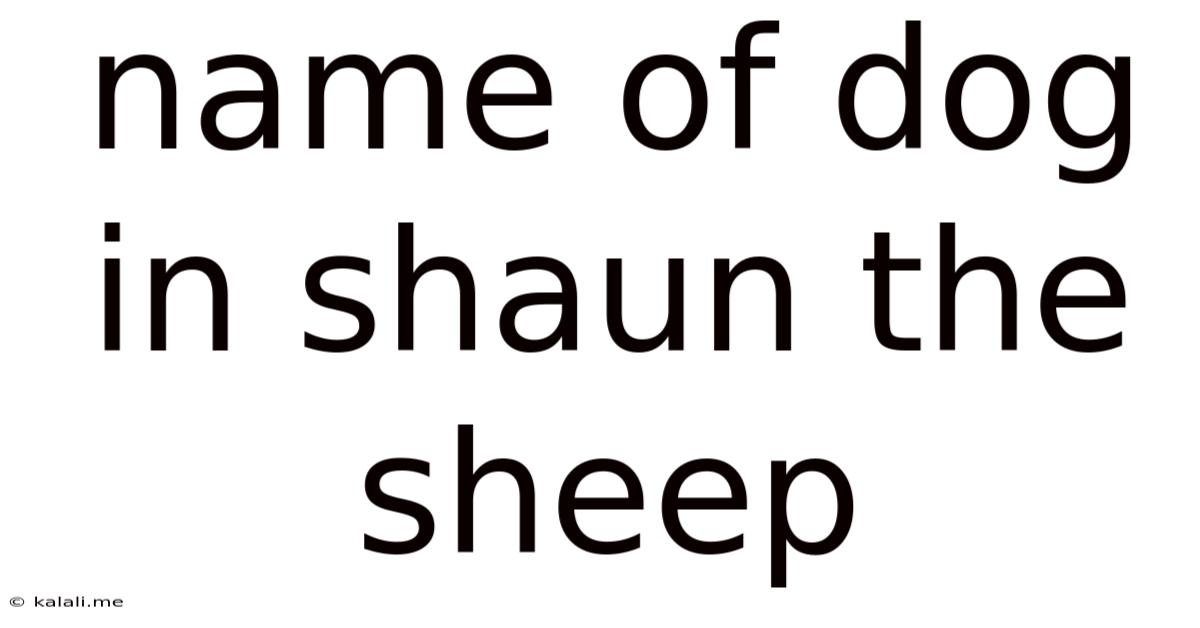 Name Of Dog In Shaun The Sheep