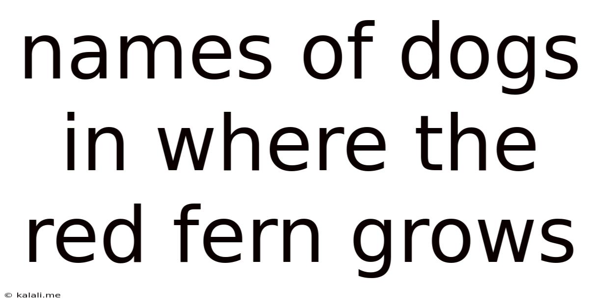 Names Of Dogs In Where The Red Fern Grows