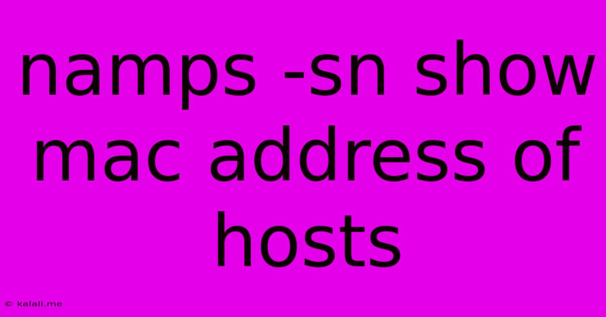 Namps -sn Show Mac Address Of Hosts