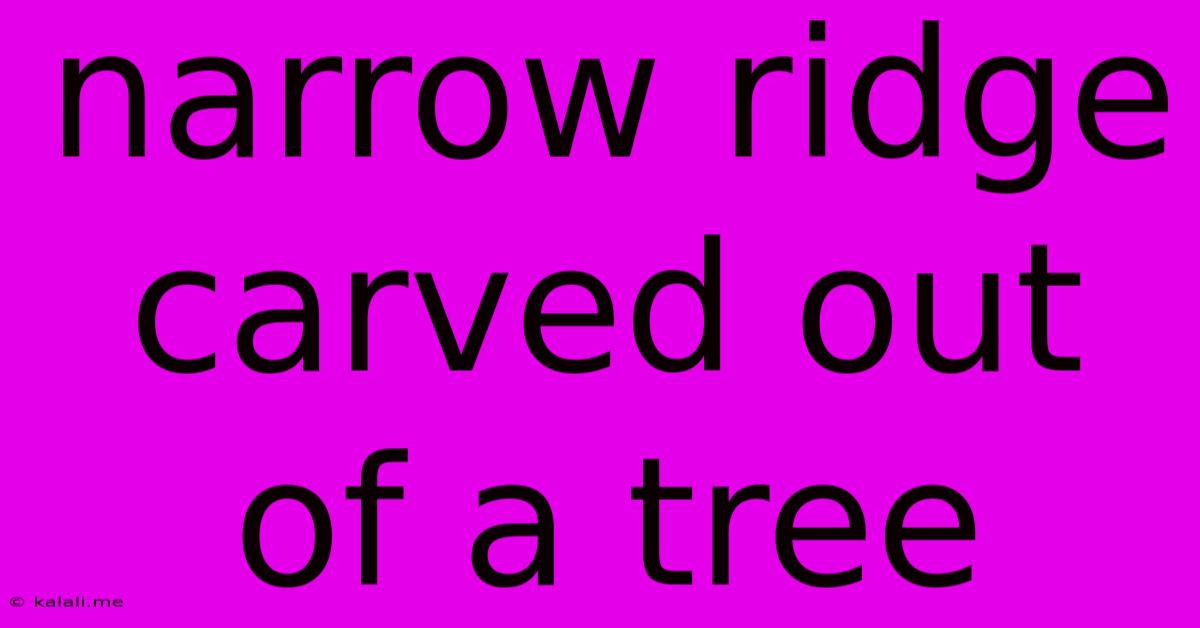 Narrow Ridge Carved Out Of A Tree