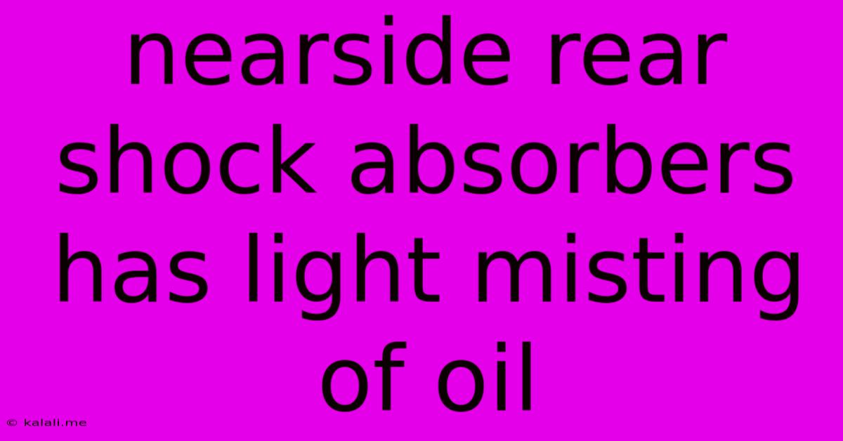 Nearside Rear Shock Absorbers Has Light Misting Of Oil