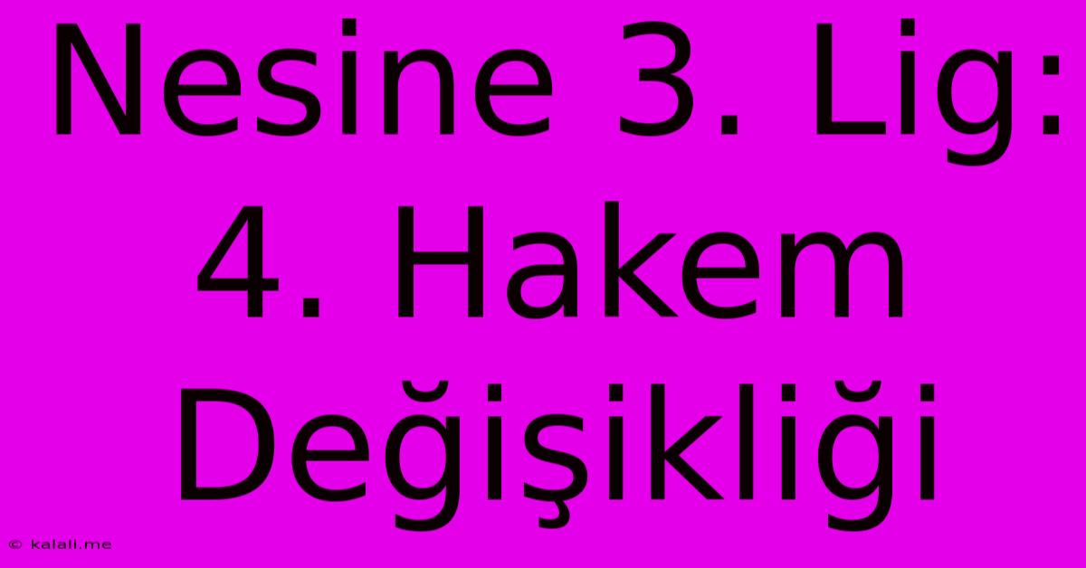 Nesine 3. Lig: 4. Hakem Değişikliği