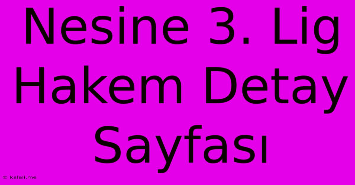 Nesine 3. Lig Hakem Detay Sayfası