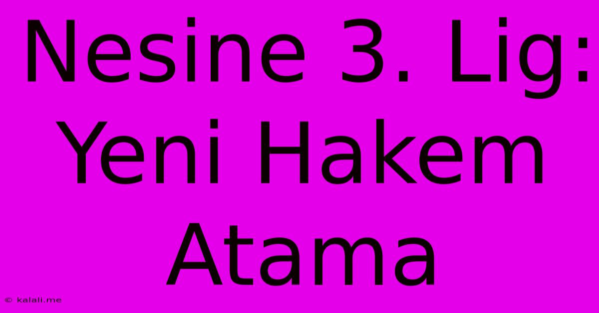 Nesine 3. Lig: Yeni Hakem Atama