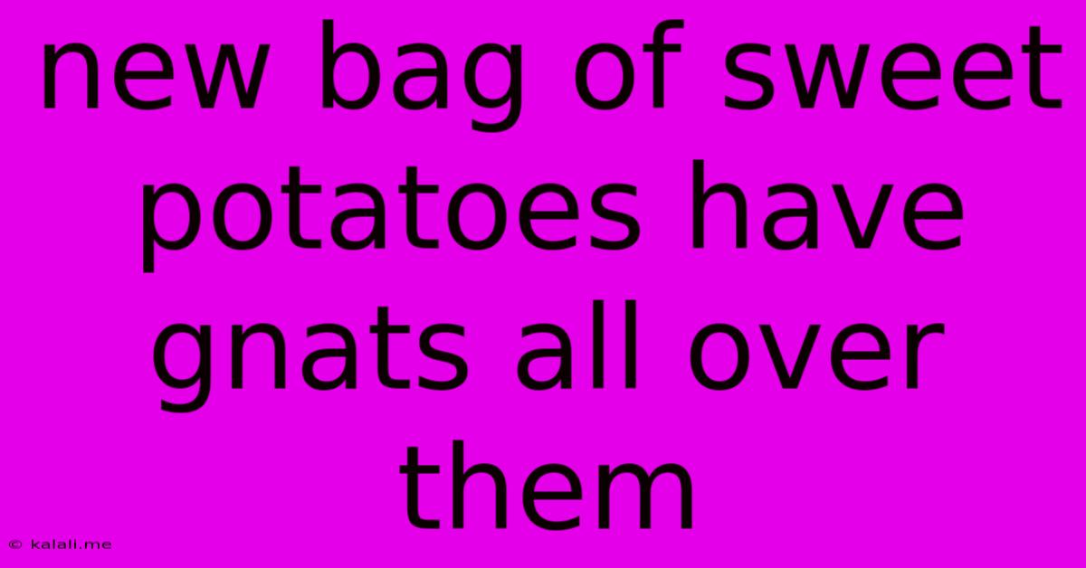 New Bag Of Sweet Potatoes Have Gnats All Over Them
