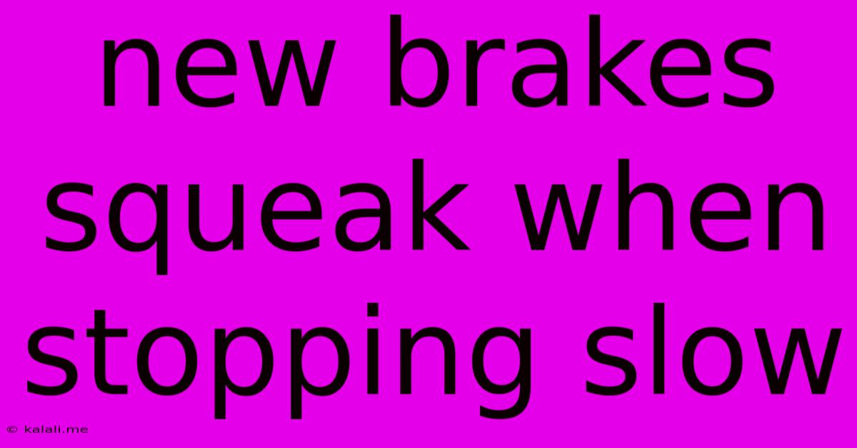 New Brakes Squeak When Stopping Slow