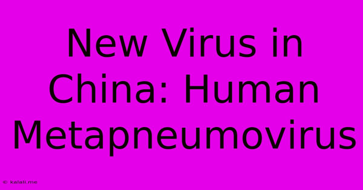 New Virus In China: Human Metapneumovirus