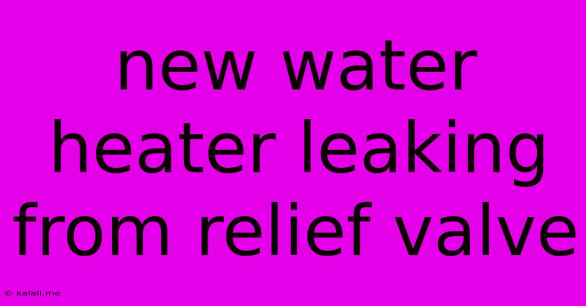 New Water Heater Leaking From Relief Valve