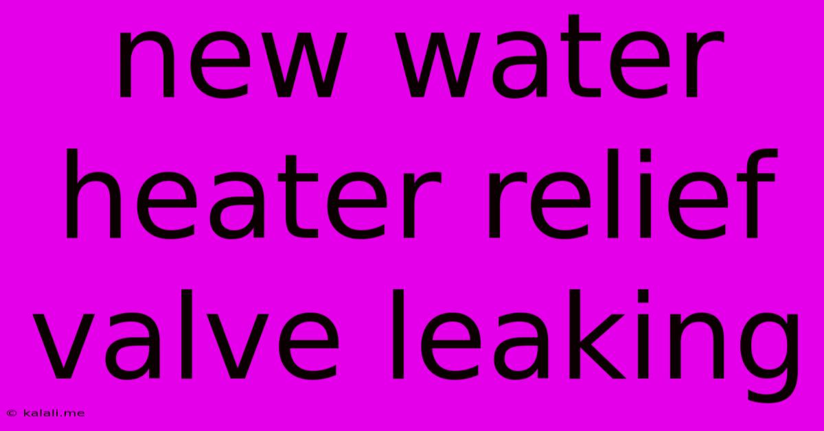 New Water Heater Relief Valve Leaking