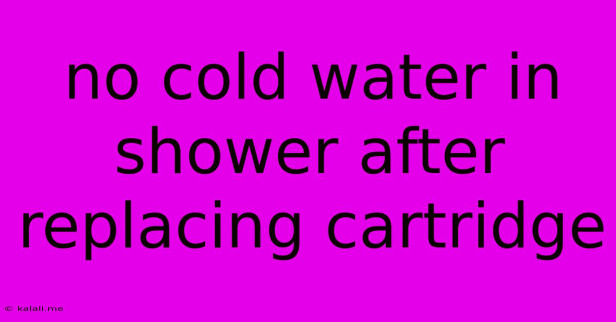 No Cold Water In Shower After Replacing Cartridge