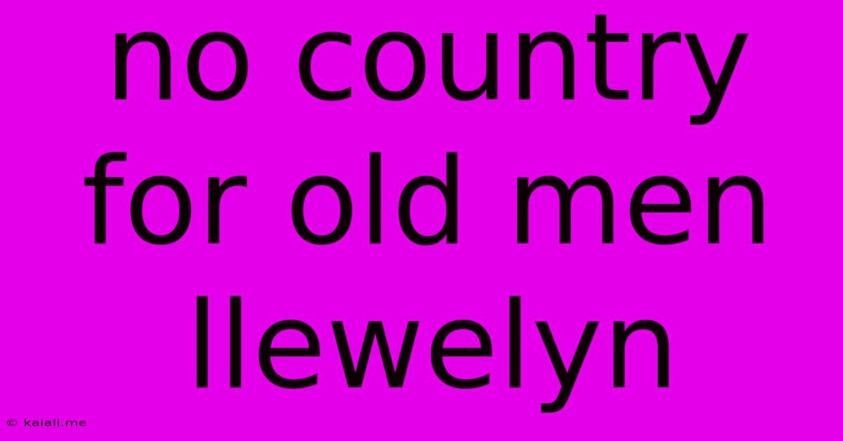 No Country For Old Men Llewelyn