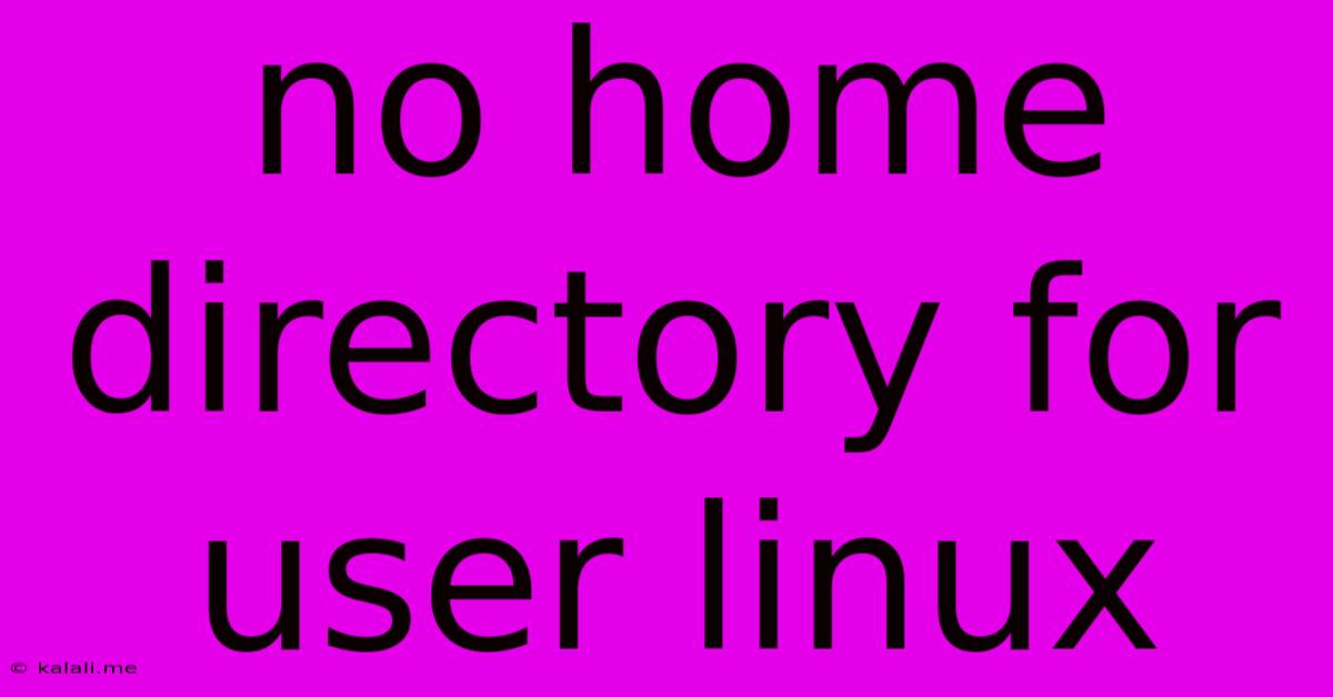 No Home Directory For User Linux