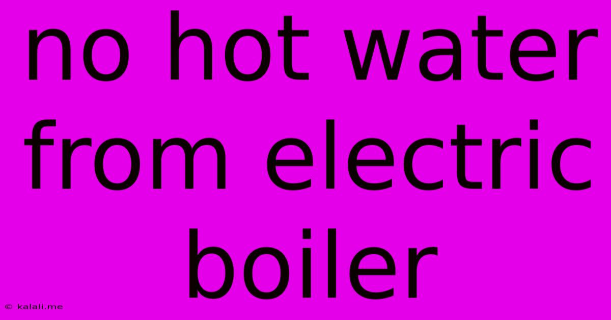 No Hot Water From Electric Boiler