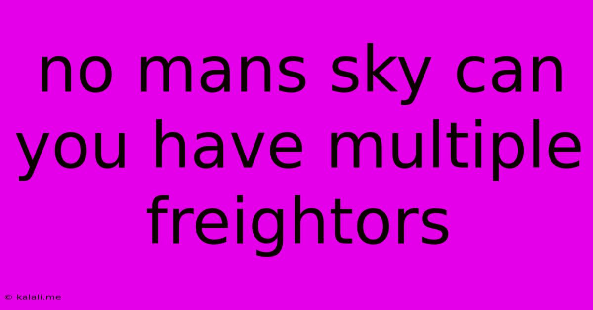 No Mans Sky Can You Have Multiple Freightors