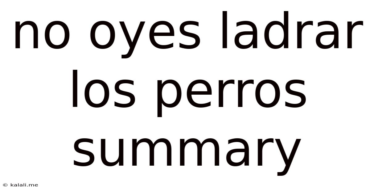 No Oyes Ladrar Los Perros Summary