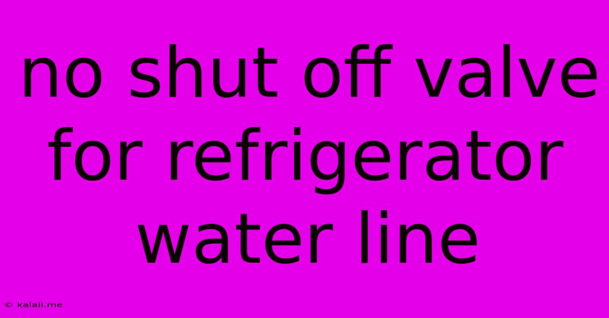 No Shut Off Valve For Refrigerator Water Line