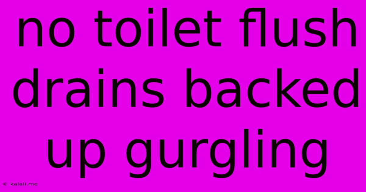 No Toilet Flush Drains Backed Up Gurgling