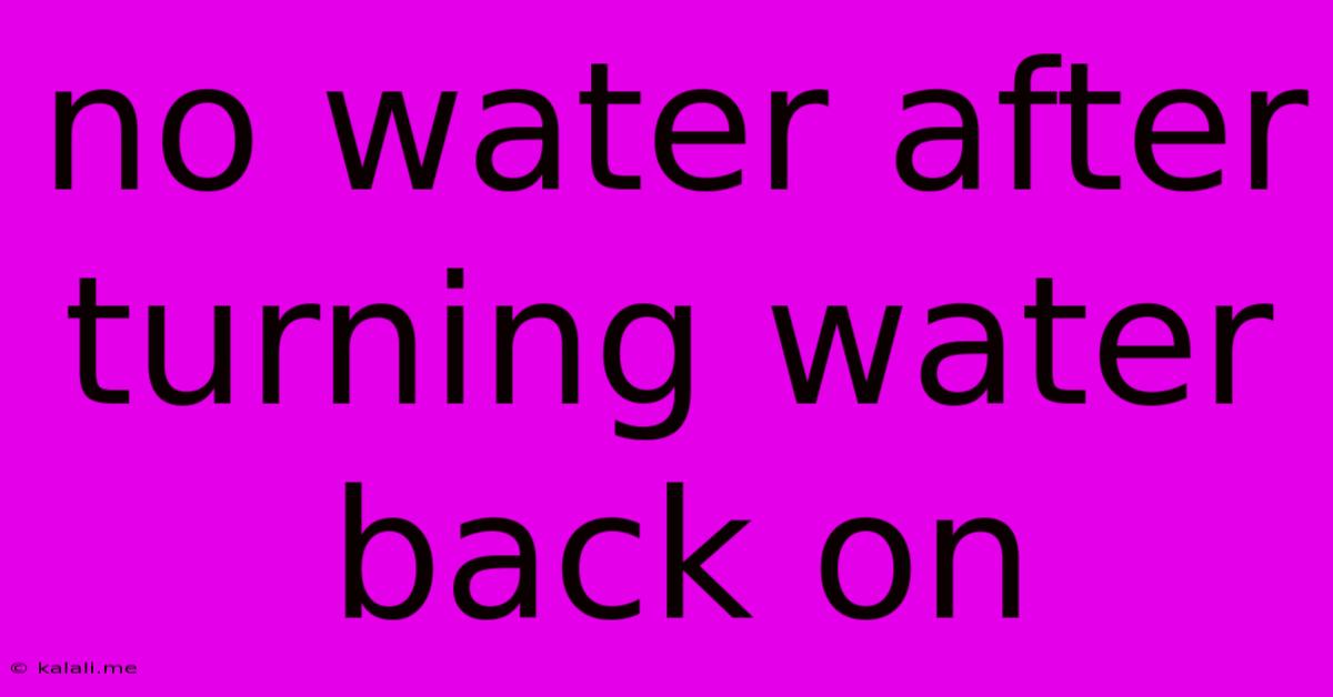No Water After Turning Water Back On