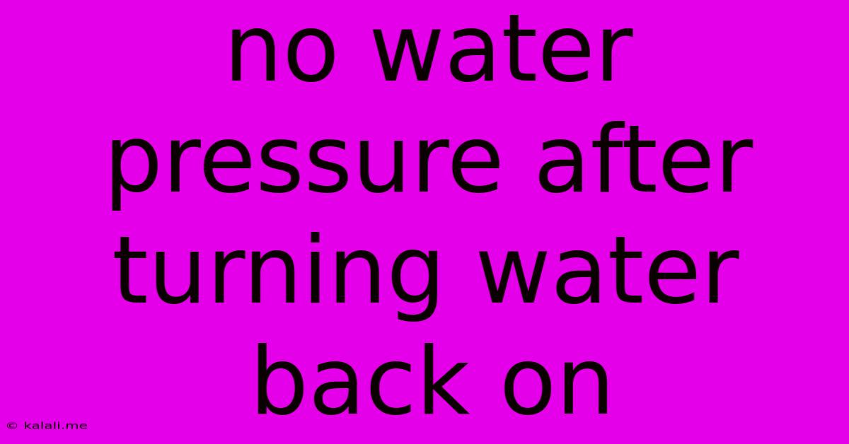 No Water Pressure After Turning Water Back On